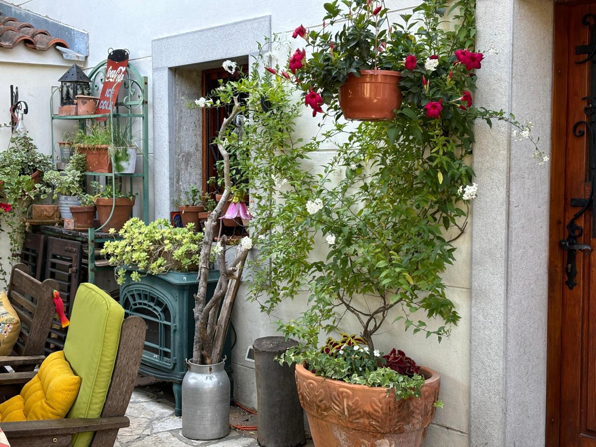 Ivana Apartma Opatija