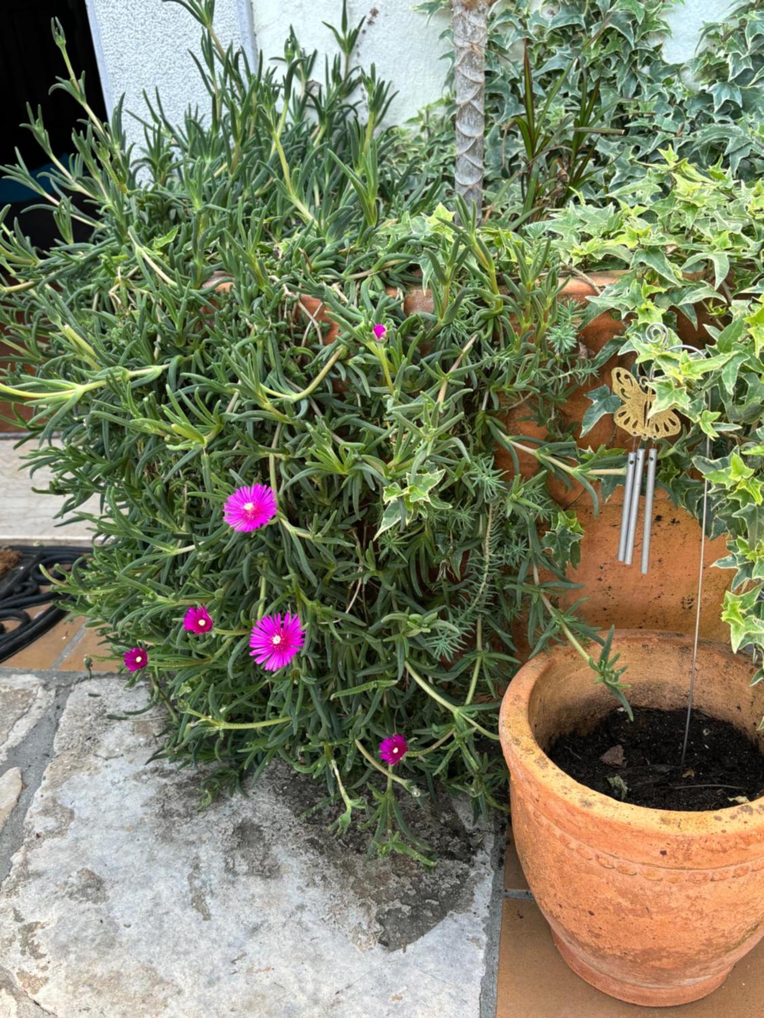 Ivana Apartma Opatija